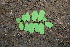  ( - BioBot00260)  @11 [ ] Copyright (2010) Unspecified Unspecified