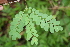  ( - BioBot00261)  @11 [ ] Copyright (2010) Unspecified Unspecified