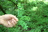 ( - BioBot00261)  @11 [ ] Copyright (2010) Unspecified Unspecified