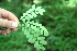  ( - BioBot00261)  @11 [ ] Copyright (2010) Unspecified Unspecified