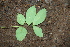  ( - BioBot00284)  @11 [ ] Copyright (2010) Unspecified Unspecified