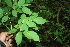  ( - BioBot00285)  @11 [ ] Copyright (2010) Unspecified Unspecified
