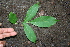  ( - BioBot00285)  @11 [ ] Copyright (2010) Unspecified Unspecified