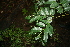  ( - BioBot00299)  @11 [ ] Copyright (2010) Unspecified Unspecified