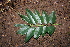  ( - BioBot00299)  @11 [ ] Copyright (2010) Unspecified Unspecified