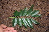  ( - BioBot00299)  @11 [ ] Copyright (2010) Unspecified Unspecified