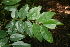  ( - BioBot00302)  @11 [ ] Copyright (2010) Unspecified Unspecified