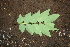  ( - BioBot00302)  @11 [ ] Copyright (2010) Unspecified Unspecified