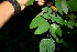  ( - BioBot00412)  @11 [ ] Copyright (2010) Unspecified Unspecified