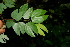  ( - BioBot00412)  @11 [ ] Copyright (2010) Unspecified Unspecified