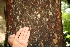  ( - BioBot00425)  @11 [ ] Copyright (2010) Unspecified Unspecified