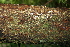  ( - BioBot00426)  @11 [ ] Copyright (2010) Unspecified Unspecified