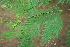  ( - BioBot00426)  @11 [ ] Copyright (2010) Unspecified Unspecified
