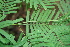  ( - BioBot00426)  @11 [ ] Copyright (2010) Unspecified Unspecified