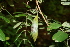  ( - BioBot00473)  @11 [ ] Copyright (2010) Unspecified Unspecified