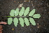  ( - BioBot00473)  @11 [ ] Copyright (2010) Unspecified Unspecified
