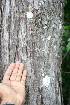  ( - BioBot00474)  @11 [ ] Copyright (2010) Unspecified Unspecified
