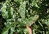  ( - BioBot05047)  @11 [ ] Copyright (2010) Unspecified Unspecified