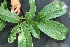  ( - BioBot05047)  @11 [ ] Copyright (2010) Unspecified Unspecified