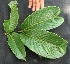  ( - BioBot05047)  @11 [ ] Copyright (2010) Unspecified Unspecified