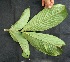  ( - BioBot05047)  @11 [ ] Copyright (2010) Unspecified Unspecified