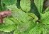  ( - BioBot05049)  @11 [ ] Copyright (2010) Unspecified Unspecified