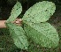  ( - BioBot05049)  @11 [ ] Copyright (2010) Unspecified Unspecified