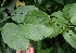  ( - BioBot05076)  @11 [ ] Copyright (2010) Unspecified Unspecified