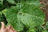  ( - BioBot05076)  @11 [ ] Copyright (2010) Unspecified Unspecified
