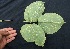  ( - BioBot05076)  @11 [ ] Copyright (2010) Unspecified Unspecified