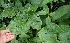  ( - BioBot05076)  @11 [ ] Copyright (2010) Unspecified Unspecified