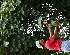  ( - BioBot05077)  @11 [ ] Copyright (2010) Unspecified Unspecified