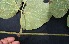  ( - BioBot05077)  @11 [ ] Copyright (2010) Unspecified Unspecified