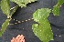  ( - BioBot05077)  @11 [ ] Copyright (2010) Unspecified Unspecified