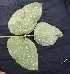  ( - BioBot05077)  @11 [ ] Copyright (2010) Unspecified Unspecified