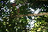  ( - BioBot05120)  @11 [ ] Copyright (2010) Unspecified Unspecified