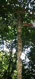  ( - BioBot05120)  @11 [ ] Copyright (2010) Unspecified Unspecified