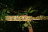  ( - BioBot05120)  @11 [ ] Copyright (2010) Unspecified Unspecified