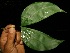  ( - BioBot05120)  @11 [ ] Copyright (2010) Unspecified Unspecified
