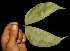  ( - BioBot05120)  @11 [ ] Copyright (2010) Unspecified Unspecified