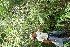  ( - BioBot05160)  @11 [ ] Copyright (2010) Unspecified Unspecified