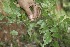  ( - BioBot05160)  @11 [ ] Copyright (2010) Unspecified Unspecified