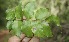  ( - BioBot05160)  @11 [ ] Copyright (2010) Unspecified Unspecified