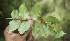  ( - BioBot05160)  @11 [ ] Copyright (2010) Unspecified Unspecified