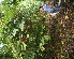  ( - BioBot05236)  @11 [ ] Copyright (2010) Unspecified Unspecified