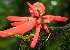  ( - BioBot05236)  @11 [ ] Copyright (2010) Unspecified Unspecified