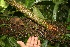  ( - BioBot05236)  @11 [ ] Copyright (2010) Unspecified Unspecified
