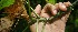  ( - BioBot05236)  @11 [ ] Copyright (2010) Unspecified Unspecified