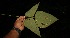  ( - BioBot05236)  @11 [ ] Copyright (2010) Unspecified Unspecified