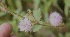  ( - BioBot05263)  @11 [ ] Copyright (2010) Unspecified Unspecified